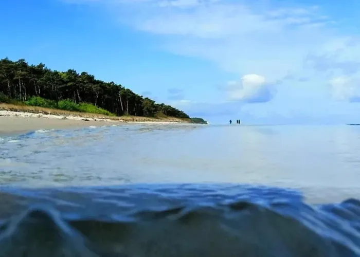 Szare Stodoly ムジェジノ